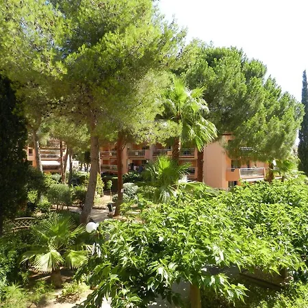 Appartement Avec Terrasse, Aperçu Mer, Parking Privé - 200m Plage, 300m Commerces, - Fr-1-251-816